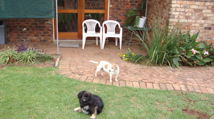 Lyttelton Eilandhuis