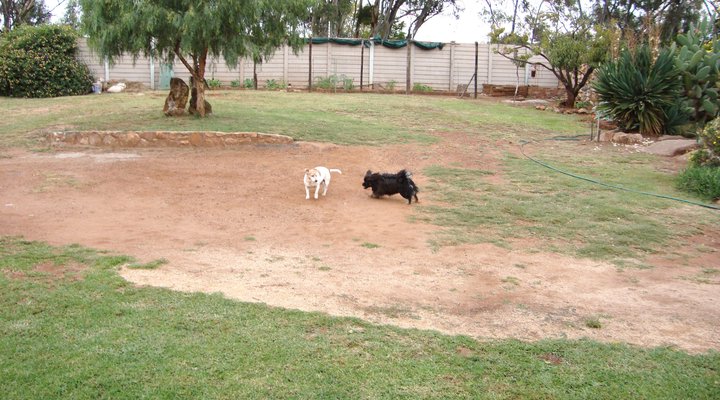 Lyttelton Eilandhuis