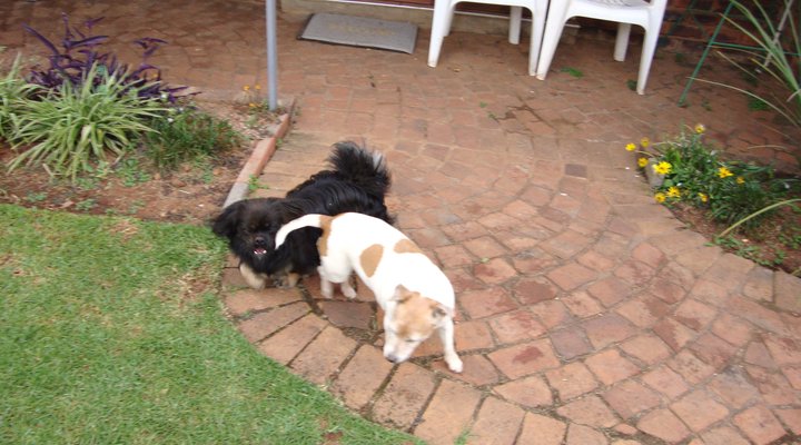 Lyttelton Eilandhuis