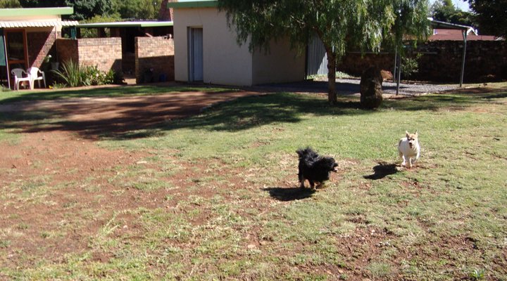 Lyttelton Eilandhuis