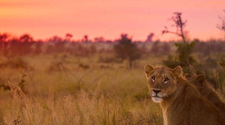 3 day Kruger Park Safari & Panorama Route 