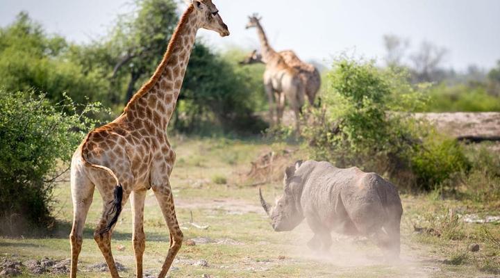 3 day Kruger Park Safari & Panorama Route 