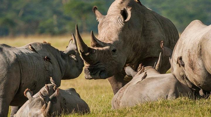 3 day Kruger Park Safari & Panorama Route 
