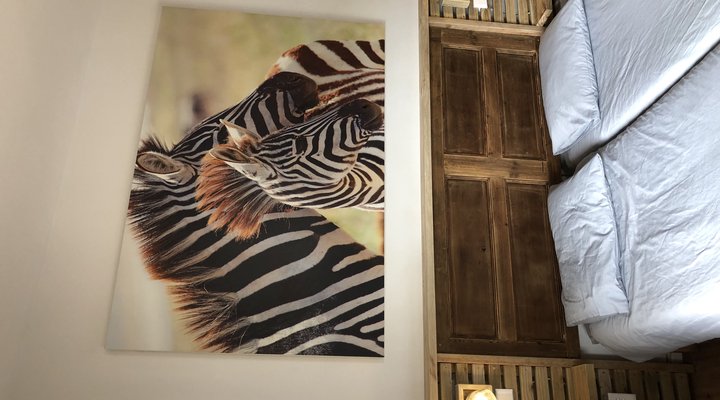 Albergo for Backpackers