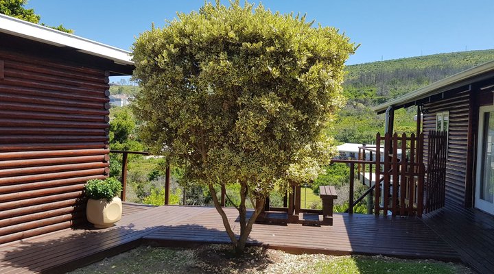 The Cabin@103 Knysna