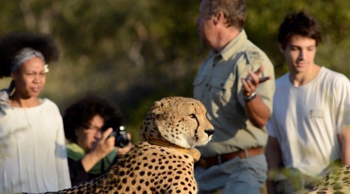 Tshukudu Safaris - Marula Camp