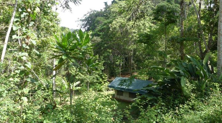 Amani Forest Camp (Emau Hill)