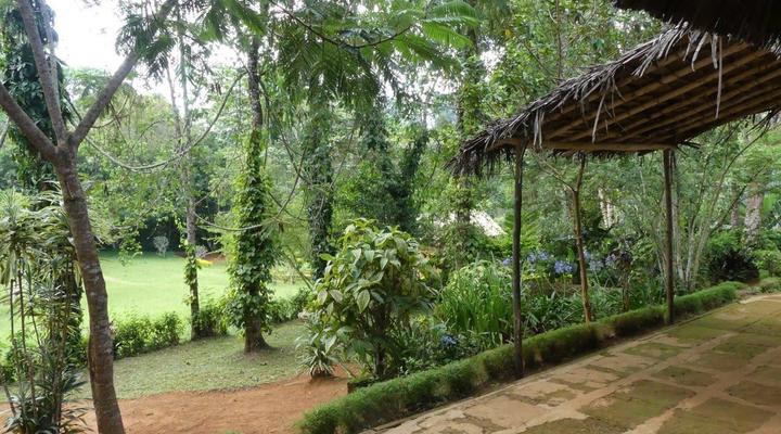 Amani Forest Camp (Emau Hill)