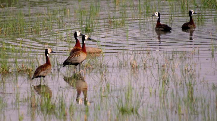 Thaba Metsi Nature Reserve
