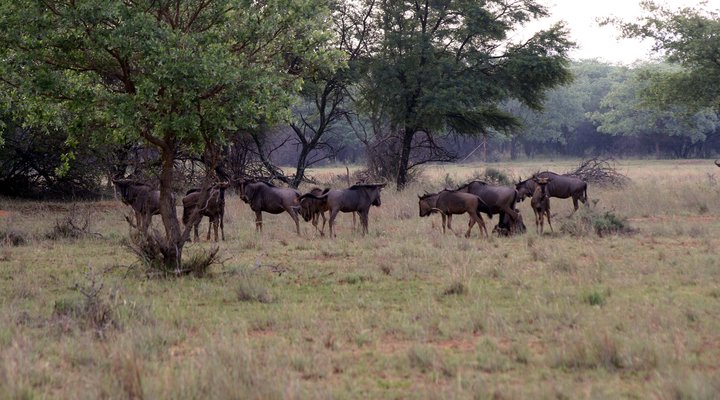 Thaba Metsi Nature Reserve