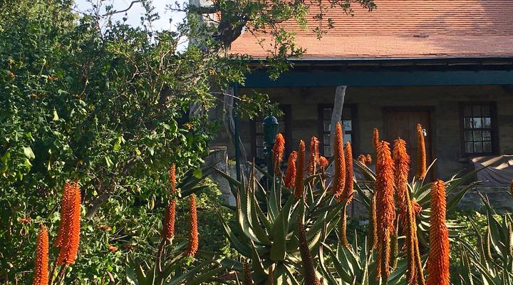 Richmond House Cottages