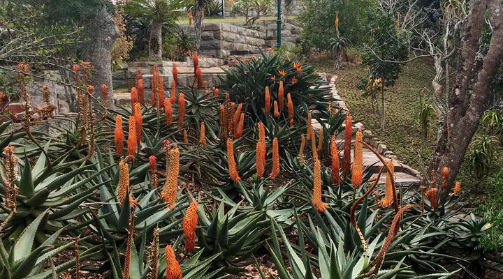 Richmond House Cottages