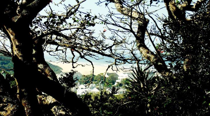 Richmond House Cottages