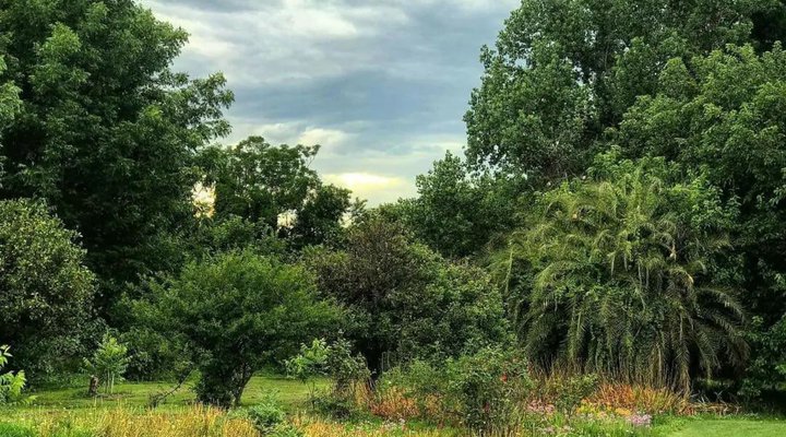 Weenen Country Cottage