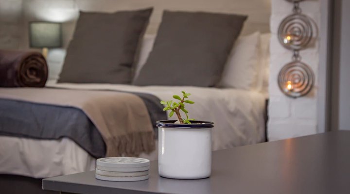 Dragon Tree Luxury Apartments