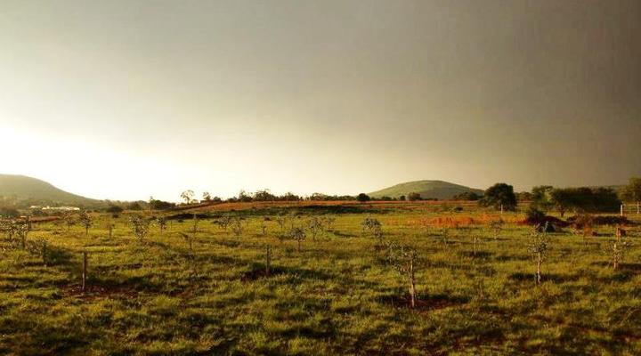 O Live Life Guest House - La Rochelle Farm