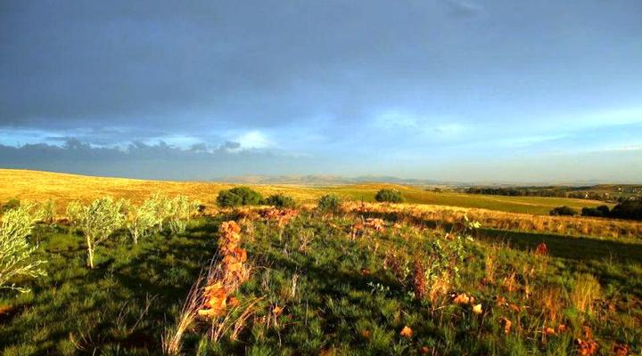 O Live Life Guest House - La Rochelle Farm