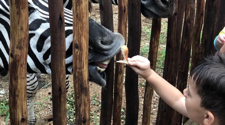 3433 on Klipspringer Marloth Park Mpumalanga