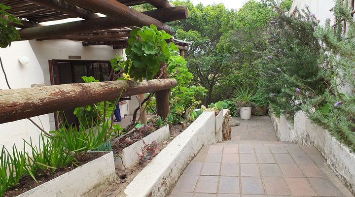 Nautilus, Plettenberg Bay