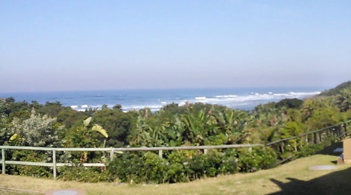 The Palms 