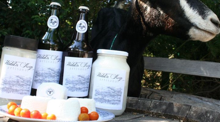 Shepherd's Keep Gîte Safari Camp