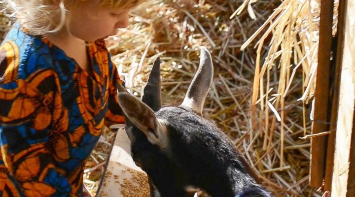 Shepherd's Keep Gîte Safari Camp