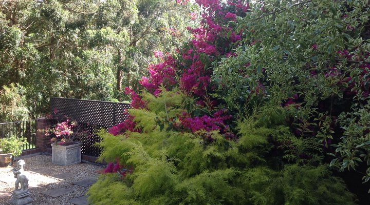 Kirstenbosch Forest Lodge