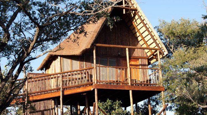 Bona Ntaba Tree House Lodge
