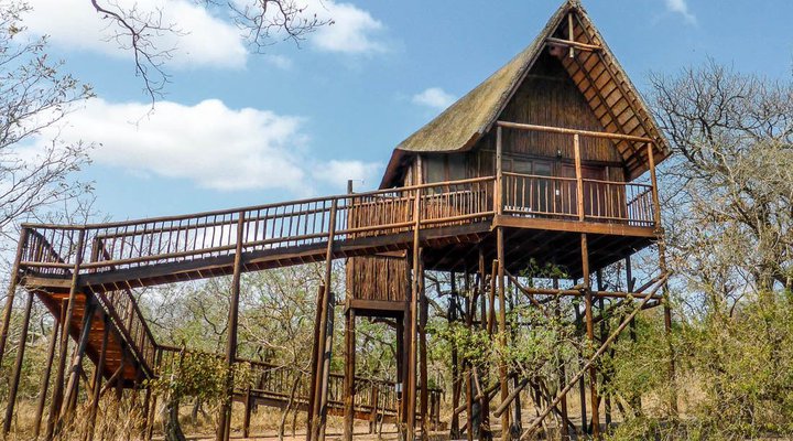 Bona Ntaba Tree House Lodge