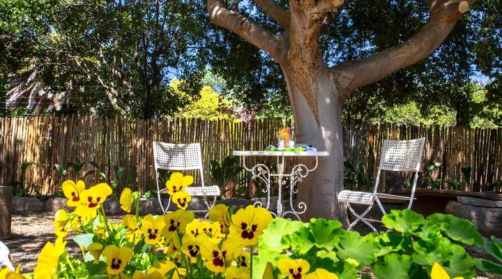 Oppie Koppie Bed & Beskuit