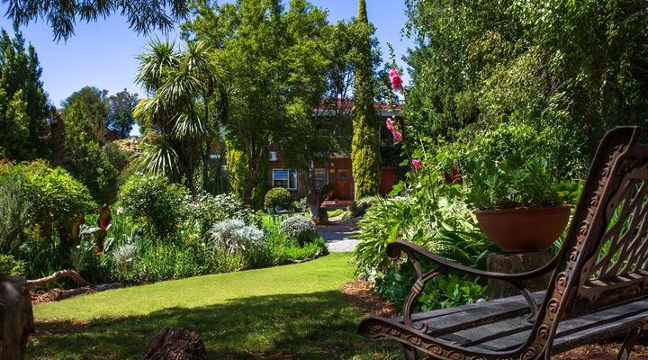 Oppie Koppie Bed & Beskuit