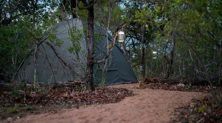 Natural Earth Trails Camp
