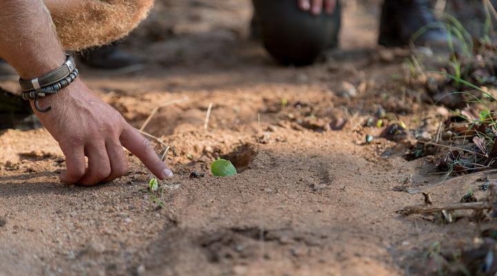 Natural Earth Trails Camp