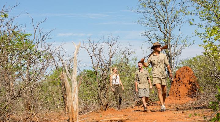 Natural Earth Trails Camp