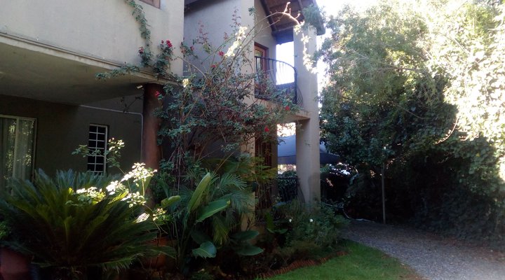 Irie's Place