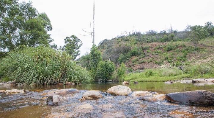 River Valley Eco Corridor