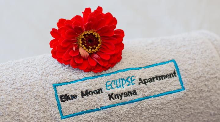 Blue Moon Apartment