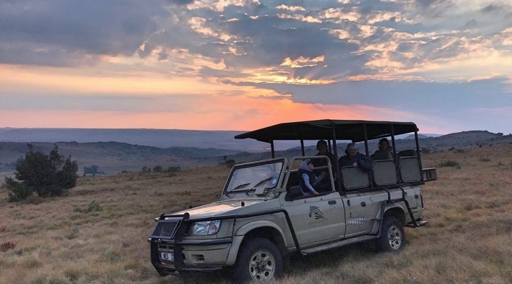 Kwaggaskop Game Farm