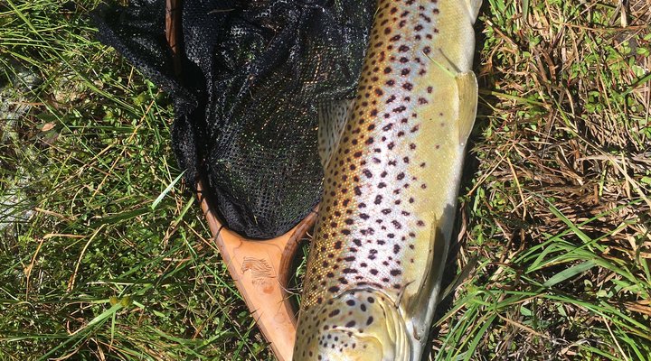 Kwaggaskop Game Farm