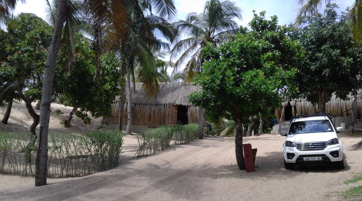 Nao Faz Mal - The Nut Hut