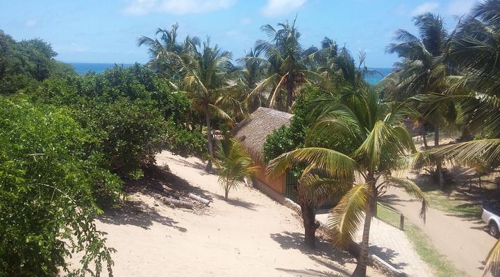 Nao Faz Mal - The Nut Hut