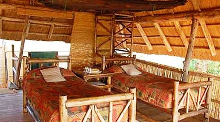 Rhino Safari Camp