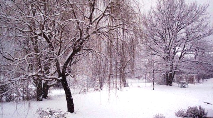 Longridge Country House