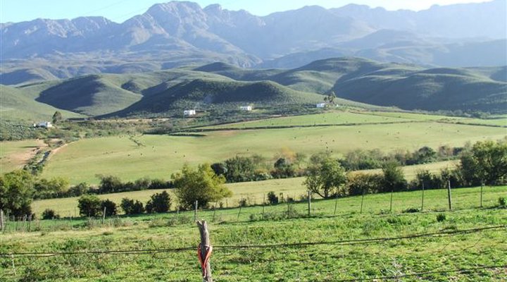 Kruisrivier Guest Farm
