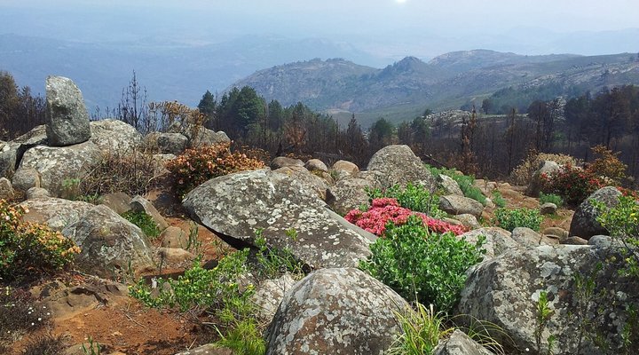 Winterberg and Kaypacha