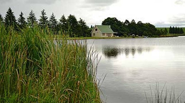 Lake Zonk