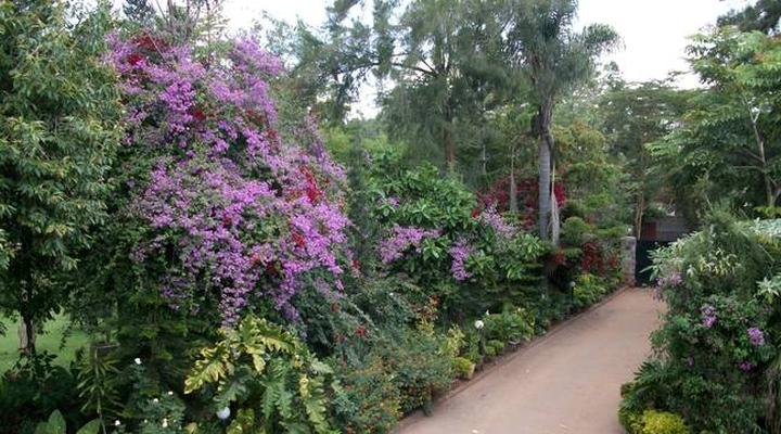 Margpher Guest House