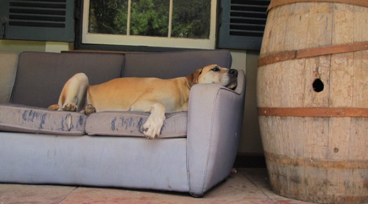 Kraaldoorn Farm Cottage