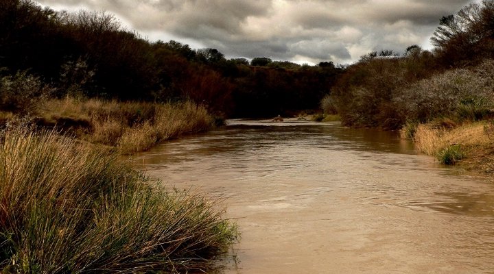 Wilgerfontein Private Game Farm