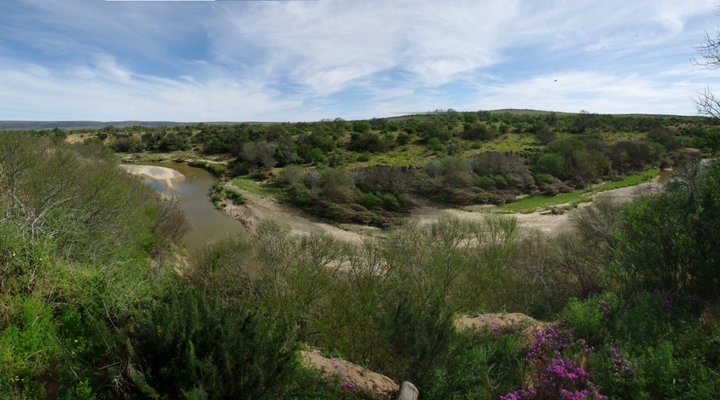Wilgerfontein Private Game Farm